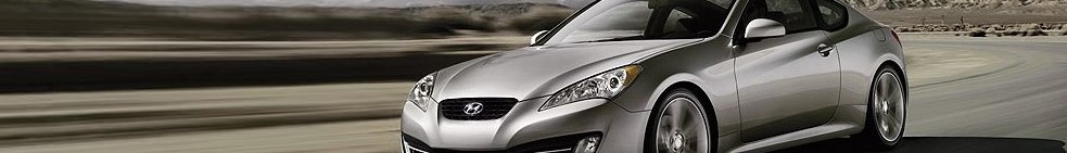 bad credit auto loans by state