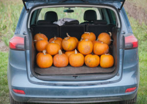 pumpkins in the trunk of car.jpg